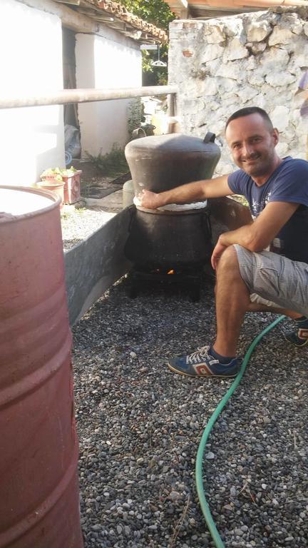 Eco Garten Guest house Shkoder