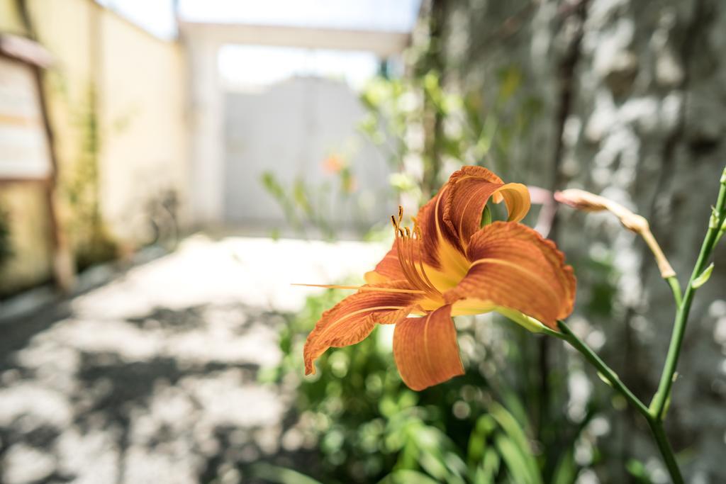 Eco Garten Pensjonat