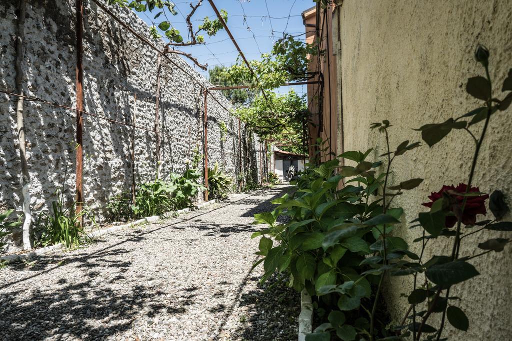 Eco Garten Pensjonat Szkodra